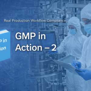 gmp in action – 2